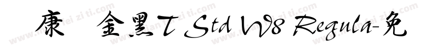 华康俪金黑T Std W8 Regula字体转换